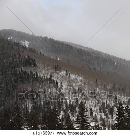 Stock Photo - Winter landscape in Vail, Colorado. Fotosearch