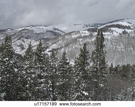 Stock Photo - Winter landscape in Vail, Colorado. Fotosearch