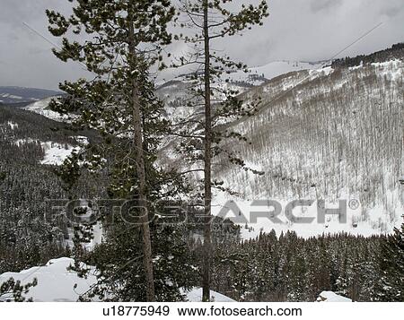 Stock Photo - Winter landscape in Vail, Colorado. Fotosearch
