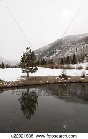 Stock Photo - Winter landscape in Vail, Colorado. Fotosearch
