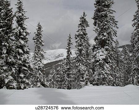 Stock Photograph - Winter landscape in Vail, Colorado. Fotosearch