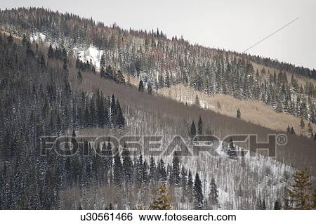 Stock Photograph - Winter landscape in Vail, Colorado. Fotosearch