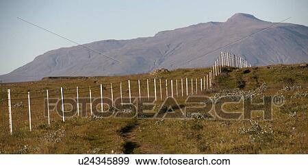 Wire fence disappearing in distance through dry pastureland up to mountain View Large Photo Image Stock Photo - Wire fence disappearing in distance through dry pastureland up to mountain. Fotosearch