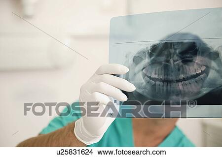Dentist holding dental panoramic xray View Large Photo Image Picture - Dentist holding dental panoramic xray. Fotosearch