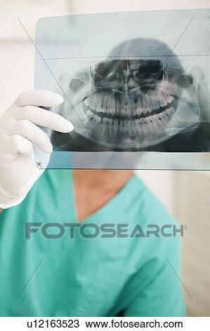 Stock Image - Dentist holding dental panoramic xray. Fotosearch