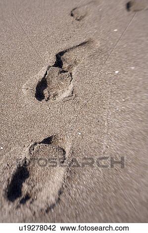 Stock Image - Footprints in sand. Fotosearch
