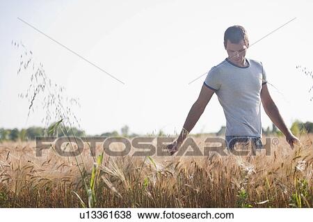 Man walking through wheat field View Large Photo Image Stock Photo - Man walking through wheat field. Fotosearch