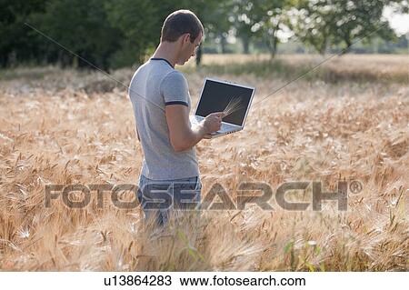 Stock Image - Man with laptop holding wheat stalk in wheat field. Fotosearch