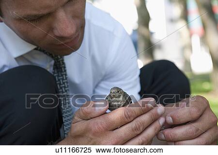 Stock Photography - Nature loving businessman holding bird. Fotosearch