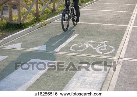 Partial view of man riding bicycle in bicycle lane View Large Photo Image Stock Photograph - Partial view of man riding bicycle in bicycle lane. Fotosearch