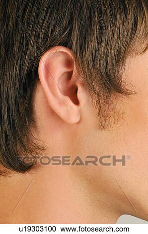 Stock Image - Young male adult's ear close up. Fotosearch