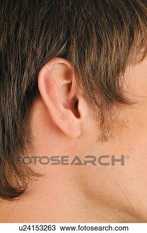 Stock Image - Young male adult's ear close up. Fotosearch