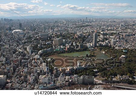 Picture - Aerial view of Ueno park, Taito ward, Tokyo Prefecture, Honshu, Japan. Fotosearch