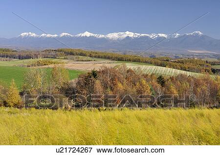 Stock Photo - Asparagus field and Mt. Daisetsu, Hokkaido Prefecture, Japan. Fotosearch