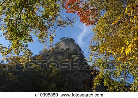 Stock Image - Autumnal Branches and Mountain. Fotosearch
