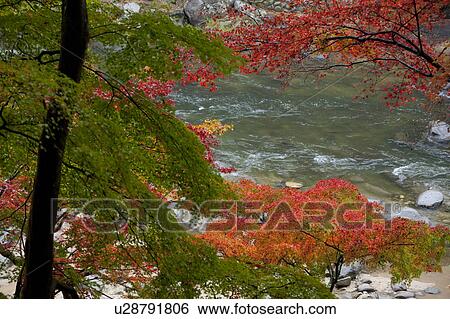 Autumnal Trees Over River View Large Photo Image Stock Photograph - Autumnal Trees Over River. Fotosearch