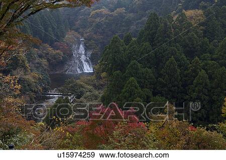 Stock Photo -  Awamata Falls. Fotosearch