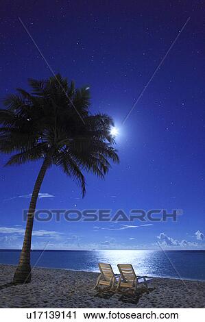 Stock Image - Beach at Night. Fotosearch