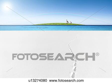 Beach, sea, island and ducks View Large Photo Image Stock Image - Beach, sea, island and ducks. Fotosearch