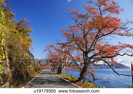 Stock Photography - Biwa lakeside Kaizu Osaki. Fotosearch