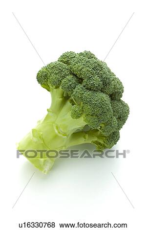Stock Photo - Broccoli. Fotosearch