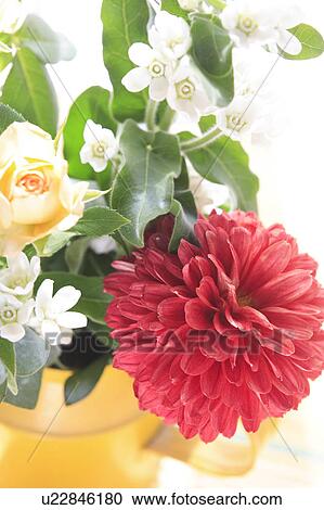 Bunch of Dahlias and Roses View Large Photo Image Stock Image - Bunch of Dahlias and Roses. Fotosearch