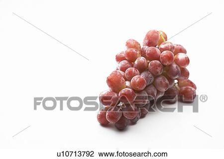 Bunch of red grapes View Large Photo Image Stock Image - Bunch of red grapes. Fotosearch