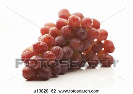 Bunch of wet red grapes View Large Photo Image Stock Image - Bunch of wet red grapes. Fotosearch