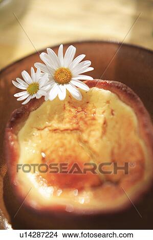 Picture - Cheese Tart Decorated with Marguerite Daisy. Fotosearch