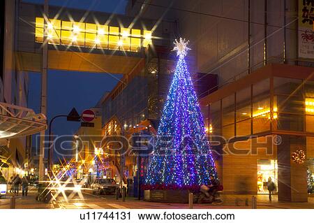 Stock Image - Christmas Tree on Street. Fotosearch