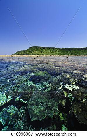 Clear Sky Over Coastline View Large Photo Image Stock Photo - Clear Sky Over Coastline. Fotosearch