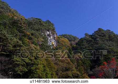 Clear Sky Over Forests View Large Photo Image Stock Image - Clear Sky Over Forests. Fotosearch