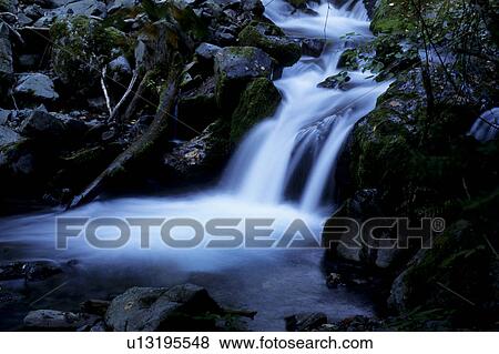 Close-up of Stream View Large Photo Image Stock Photo - Close-up of Stream. Fotosearch
