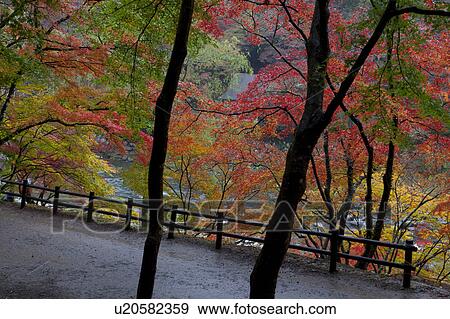 Stock Photo - Colorful Autumnal Trees by River. Fotosearch