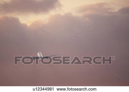 Commercial airplane flying at dusk, Japan View Large Photo Image Stock Image - Commercial airplane flying at dusk, Japan. Fotosearch