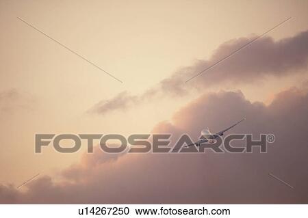 Commercial airplane flying at dusk, Japan View Large Photo Image Stock Image - Commercial airplane flying at dusk, Japan. Fotosearch