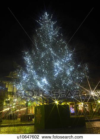 Stock Image - Covent Garden and Christmas Tree. Fotosearch