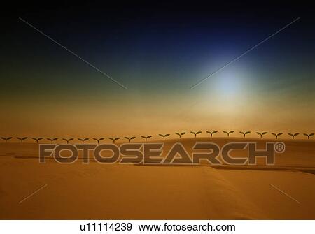 Stock Photo - Desert and saplings, digital composite. Fotosearch