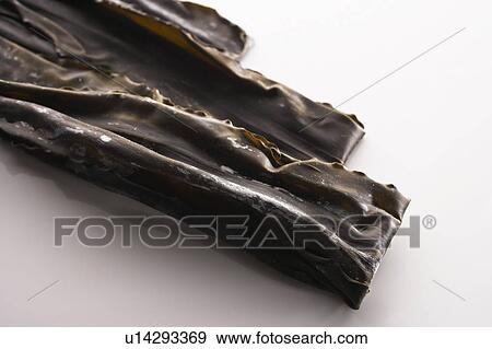 Dried seaweed View Large Photo Image Stock Photo - Dried seaweed. Fotosearch
