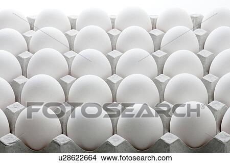 Picture - Eggs in a carton. Fotosearch