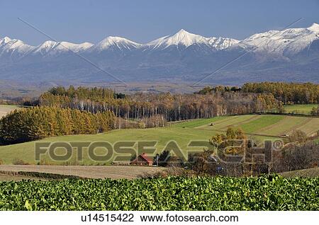 Farm and Mt. Daisetsu, Hokkaido Prefecture, Japan View Large Photo Image Stock Image - Farm and Mt. Daisetsu, Hokkaido Prefecture, Japan. Fotosearch