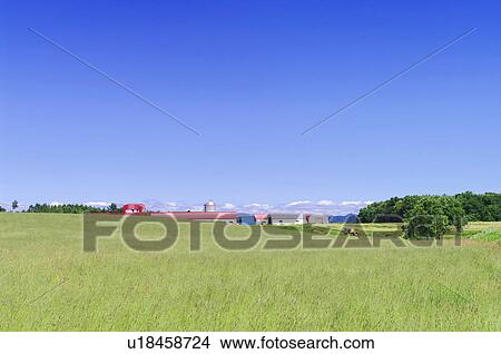 Farmhouse and Fields View Large Photo Image Picture - Farmhouse and Fields. Fotosearch