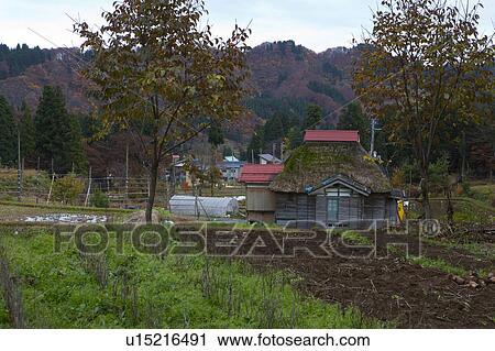 Stock Image - Farmhouse in Autumn. Fotosearch