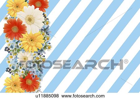 Flowers with stripe background View Large Photo Image Stock Photo - Flowers with stripe background. Fotosearch
