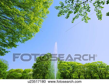 Stock Image - Fountain in Yoyogi Park. Fotosearch