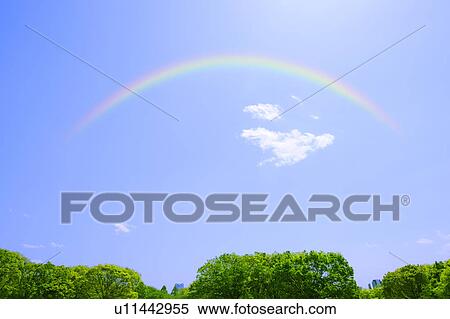 Fresh green Yoyogi Park and rainbow View Large Photo Image Stock Photography - Fresh green Yoyogi Park and rainbow. Fotosearch