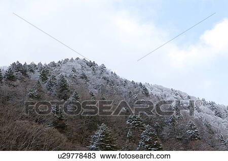 Stock Image - Frost on Mountain. Fotosearch