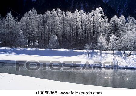Frosty Trees by Frozen River View Large Photo Image Stock Photo - Frosty Trees by Frozen River. Fotosearch