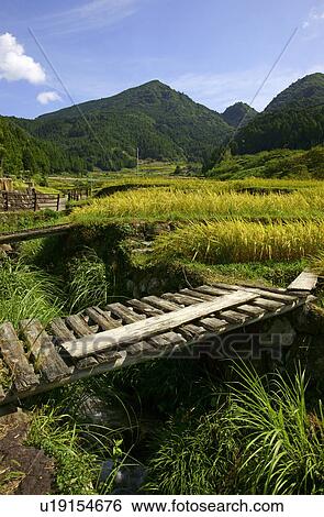 Stock Photograph - Grassland and Mountains. Fotosearch