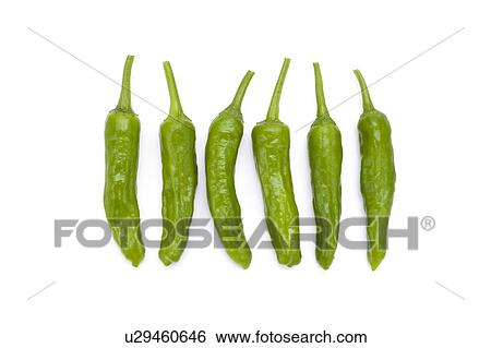 Green Chili Pepper View Large Photo Image Stock Photograph - Green Chili Pepper. Fotosearch